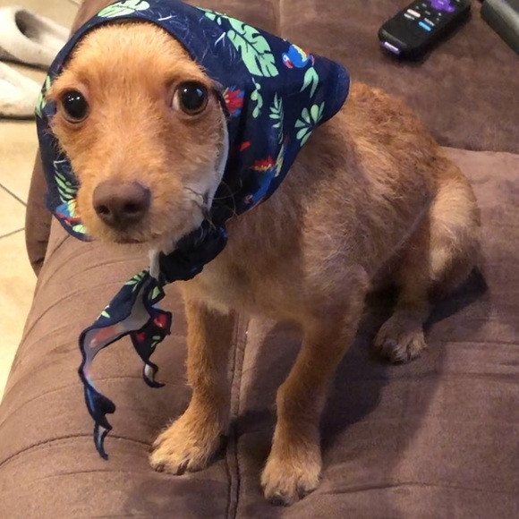 Meet your Posher, Mirka - Picture 5 of 7